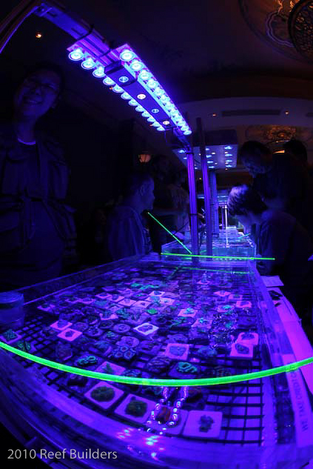 reefstock 2010 led aquarium light demonstration