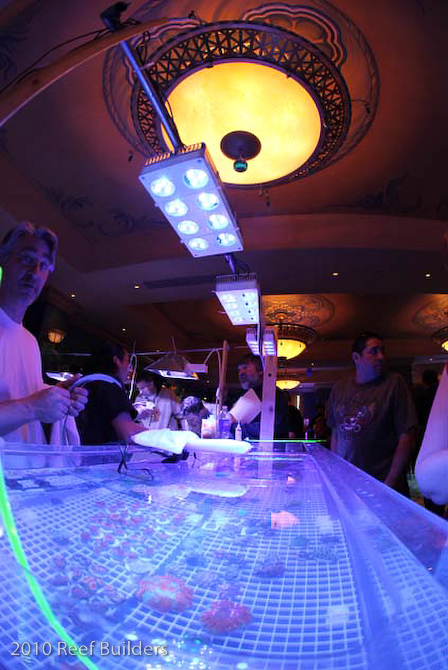 reefstock 2010 led aquarium light demonstration