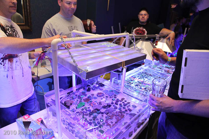 reefstock 2010 led aquarium light demonstration