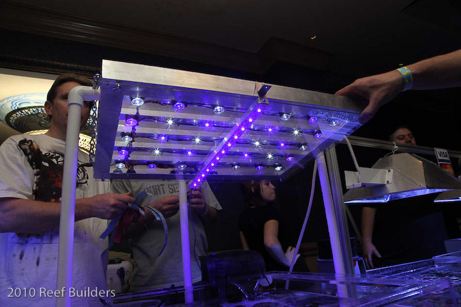 reefstock 2010 led aquarium light demonstration