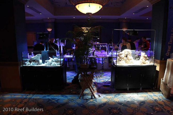 reefstock 2010 led aquarium light demonstration