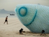 fish-11-640x426