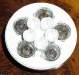 lisa-xpg-led-lens-8