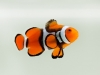 eco_labeled_png_010674