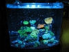 vertex-led-8