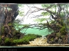 aga-aquascaping-contest-winner-4