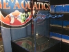 ice-age-aquarium-8