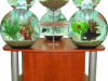 labyrinth-aquarium-cherry_0