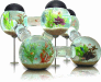labyrinth-aquarium-closeup_0