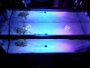 ledio-led-spotlight-reef-4