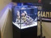 panorama-led-light-5_1