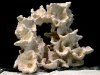 vida-rock042209-054.jpg