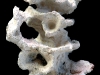vida-rock042209-062.jpg