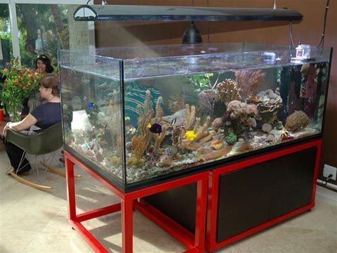  red metal stand and concealed filter system, double check. Reef aquarium 