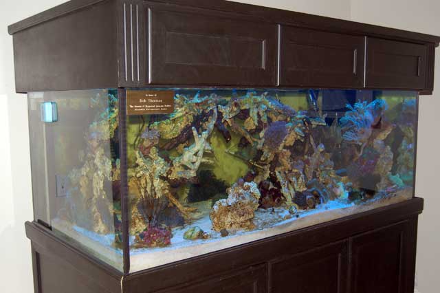 Reef Ramblings: Locomotion and Aquascaping | Reef Builders | The Reef ...