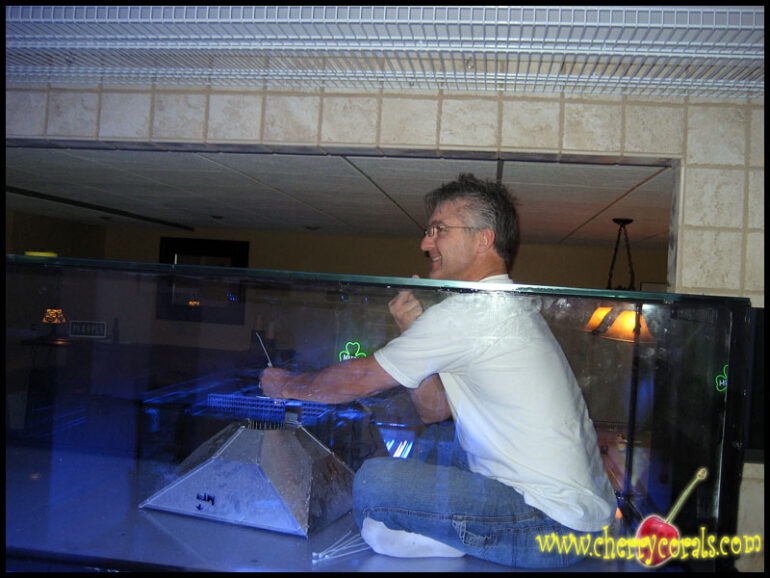 Aqua Illumination Plasma Lighting gets closer to reality Reef