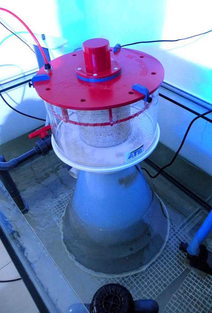 Image showcasing Wash down Skim Clean from Aqua Driver spied? | Reef Builders | The Reef ...