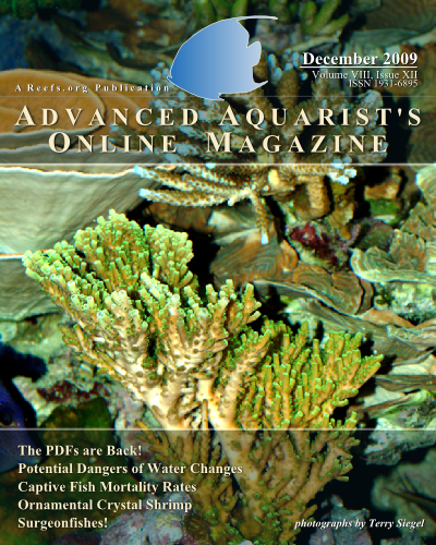 December issue of Advanced Aquarist now available | Reef Builders | The ...