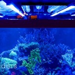 24" 2 ft Aquarium Reef Coral LED Strip 445nm BLUE Actinic Light w/Power Supply 