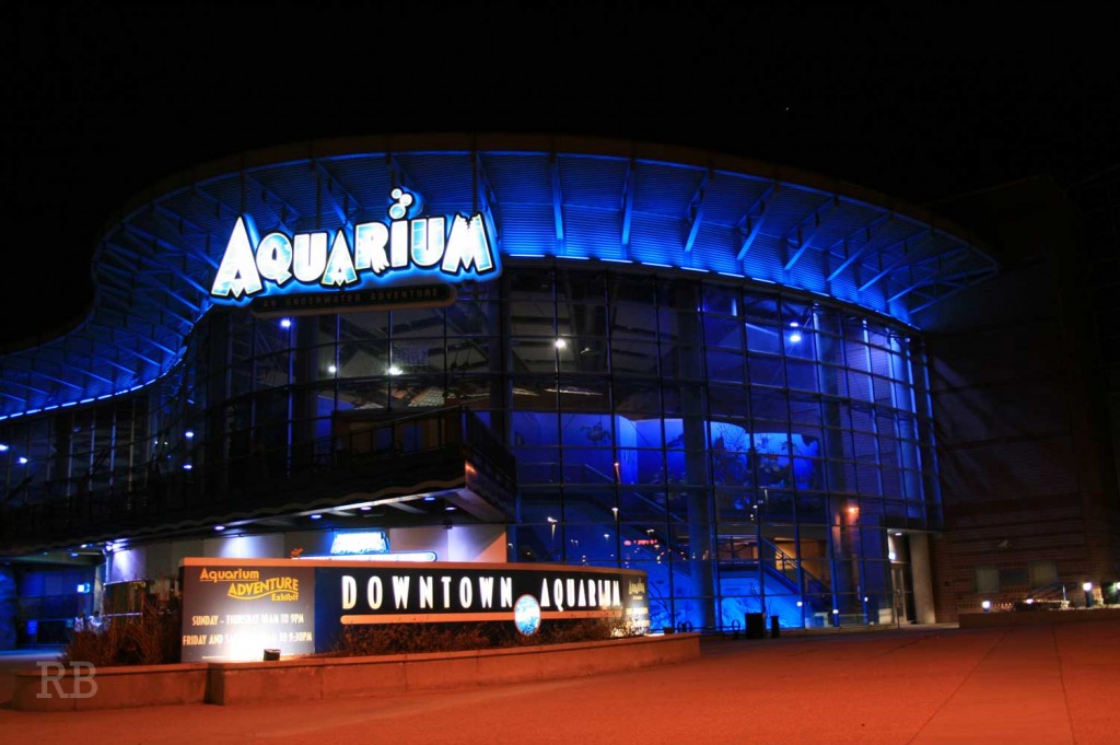 Reef Stock at the Denver Downtown aquarium Tomorrow Reef Builders