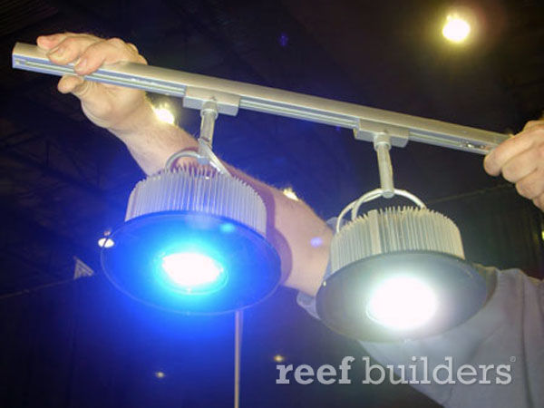 Multichip LED spotlights from Blue Moon Aquatic will be crankin 30 ...