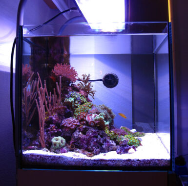 Thinking “Negative”- an overlooked aquascaping aspect | Reef Builders ...