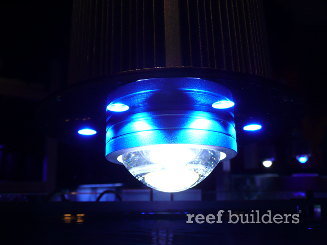 Blue Moon Aquatics LED pendants coming in October | Reef Builders | The ...