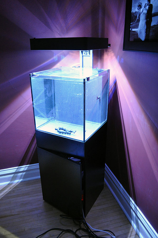 Ecoxotic 18" Cube, 25 gallon LED Aquarium System, being water tested.