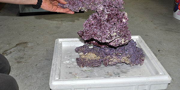 Aquascaping with Real Reef Rock