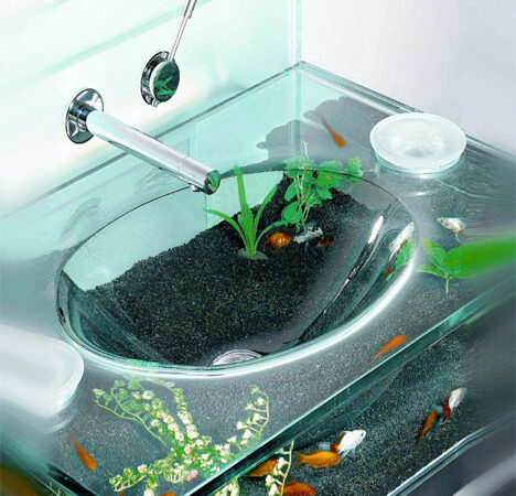 waterbed with fish