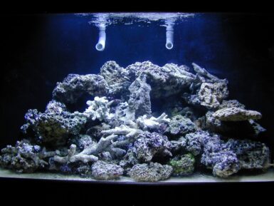 Simple and effective guide on reef aquascaping | Reef Builders | The ...