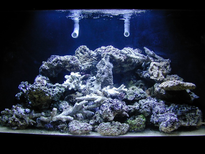 How it's made: Reef Aquariums, Reef Builders