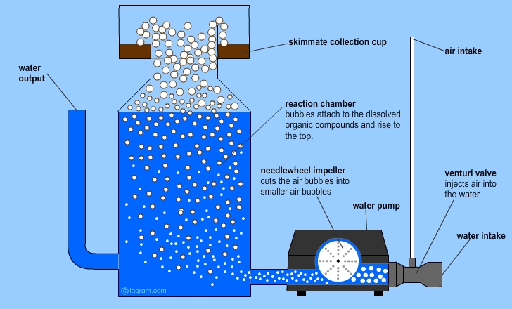 Diagram of a modern protein skimmer with a needlewheel pump, Reef Builders
