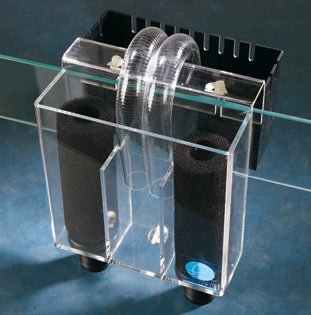 A typical, traditional overflow boxes with the tell-tale U-tubes siphoning water over the edge of the aquarium wall