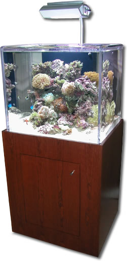 65 gallon aquarium