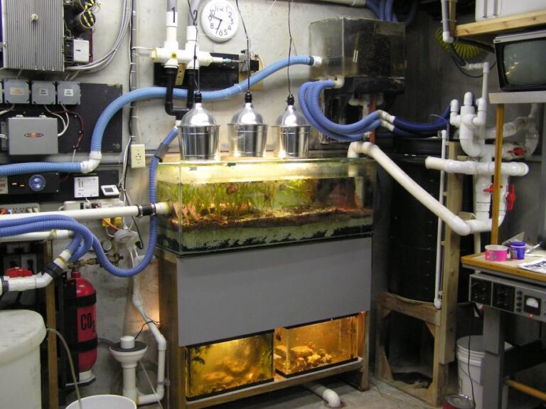 The Modern Reef Aquarium Fish Room Reef Builders The Reef and