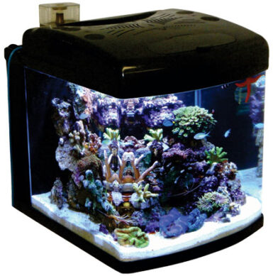 JBJ responds to Red sea Max, releases Nano-Cube HQI 28 gallon Aquarium ...