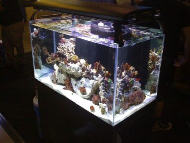 Illuminata new trimless aquarium line from Oceanic | Reef Builders ...