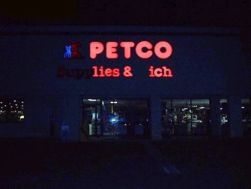 petco with saltwater fish near me