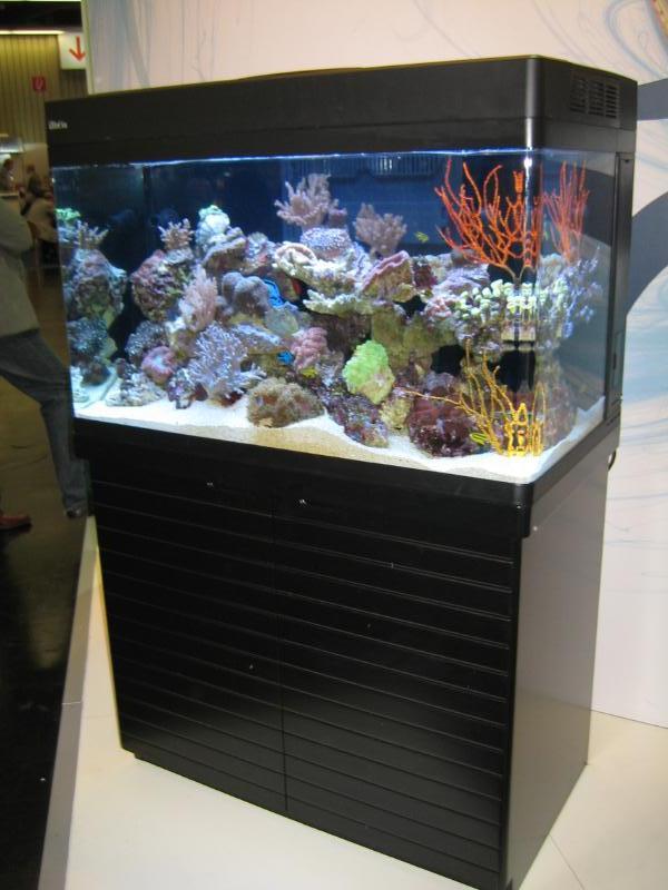 Red Sea's Red Sea Max 250 to Hit USA early 2009? | Builders | The Reef and Saltwater Aquarium Blog