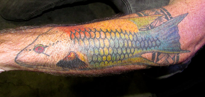 Dreamland Tattoos  HelloCheck out the Japanese Koi Fish Tattoo by  jaysonidreamlandtattoos For Future Appointments Call Ph9376859930  professional professionaltattooartist DreamlandTattoos  dreamlandtattoostudio gujarattattoo india 