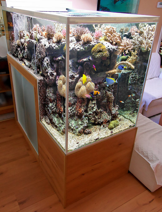 The DropOff Reef Aquarium of Philippe Grosjean Reef Builders The