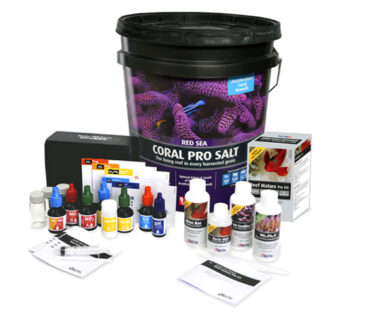 Red Sea refreshes and updates popular Reef Starter Kit with current ... - Starter Saltwater Reef Tank Kits With Product For Fish Vaccination