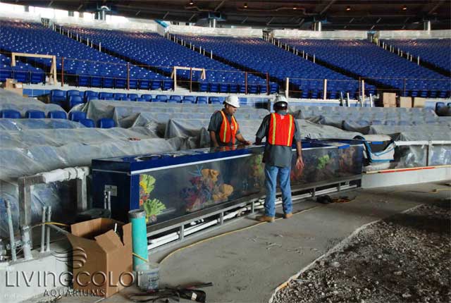 MLB's Miami Marlins completes aquarium installation, fish get