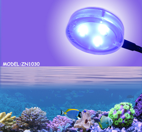 Zetlight Mini And Nano Led Aquarium, Small Aquarium Light Fixtures