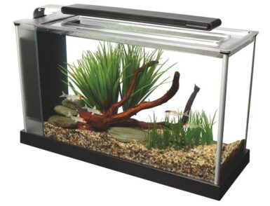 Fluval Spec is a nifty slim aquarium, ideal for desks and shelves ...