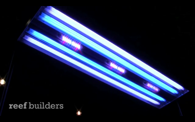 ATI LED PowerModule - there's really no other aquarium light like this one, Reef Builders
