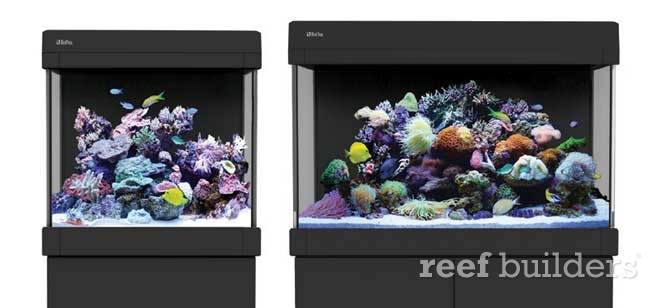 Do Danser Macadam Red Sea MAX C series 130 and 250 all-in-one (AIO) aquariums | Reef Builders  | The Reef and Saltwater Aquarium Blog