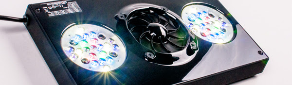Ecotech's new Radion G3 and Pro get more than an LED spec bump 