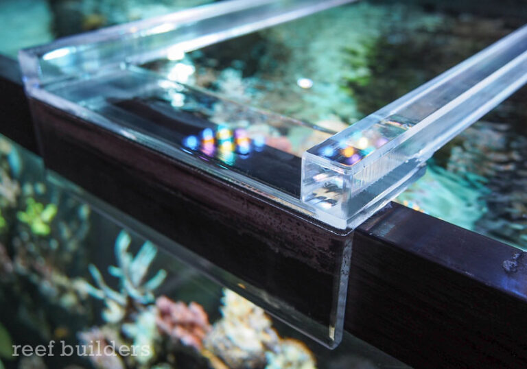 I ended my aquarium’s stupid plastic center brace with a ‘Brace